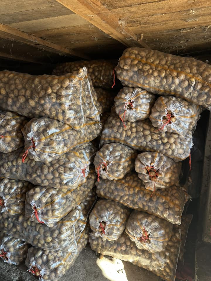 კარტოფილი სოფია