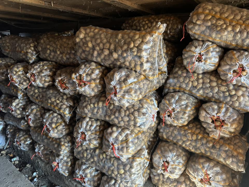 კარტოფილი სოფია