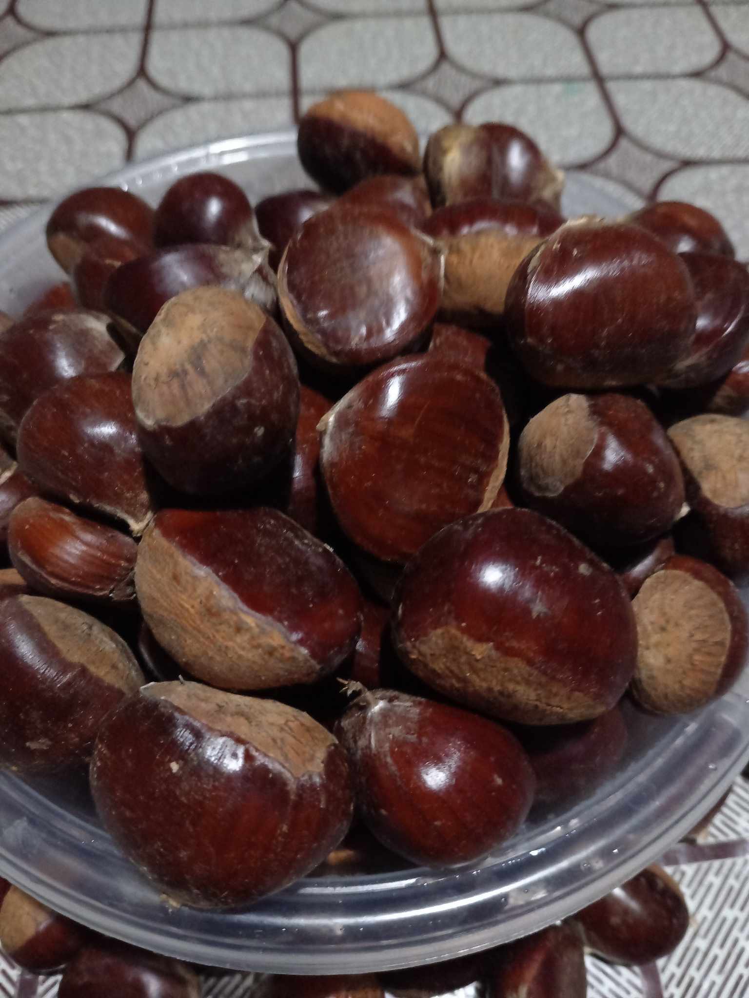 წაბლის ნერგები