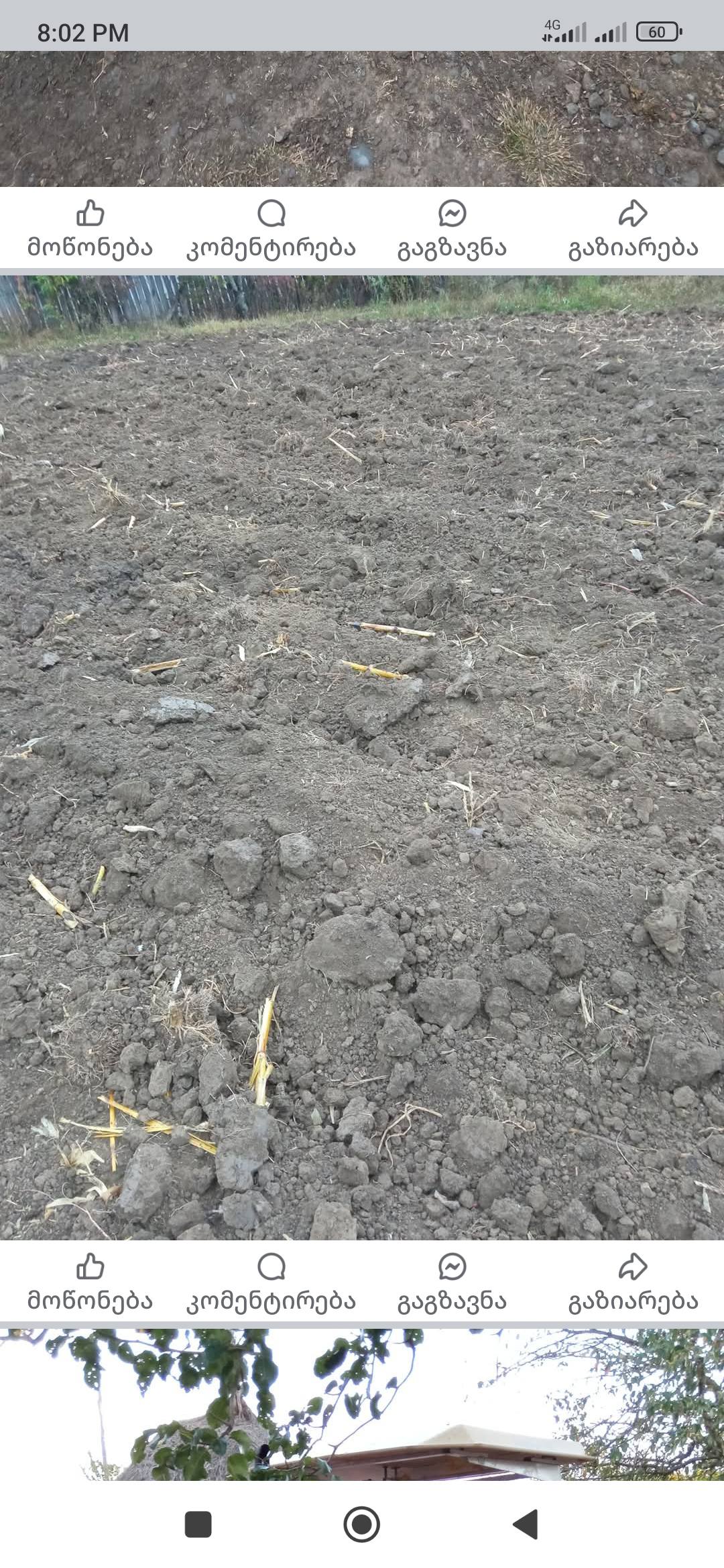 მიწის მოხვნა