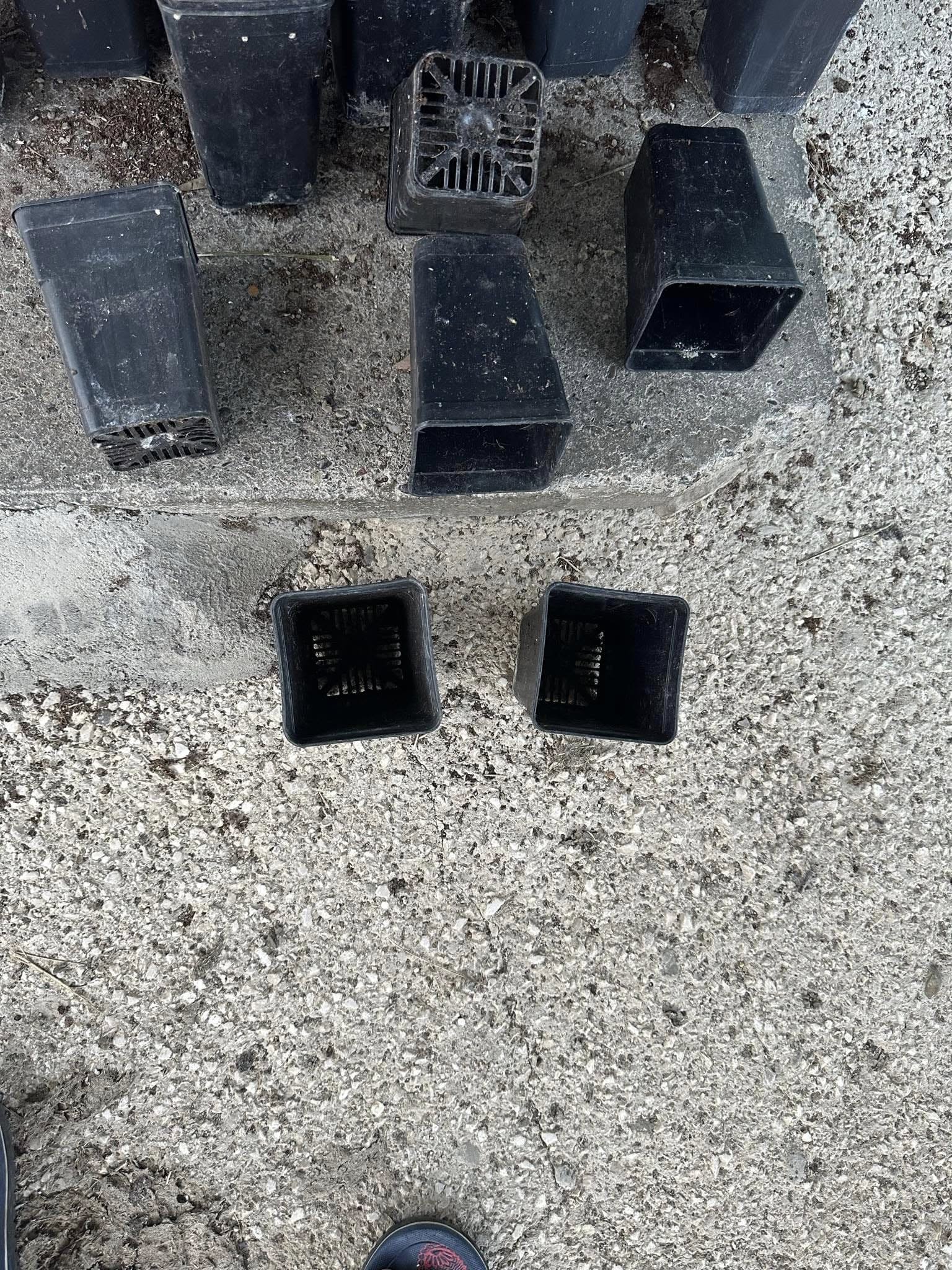 საჩითილე ქოთნები