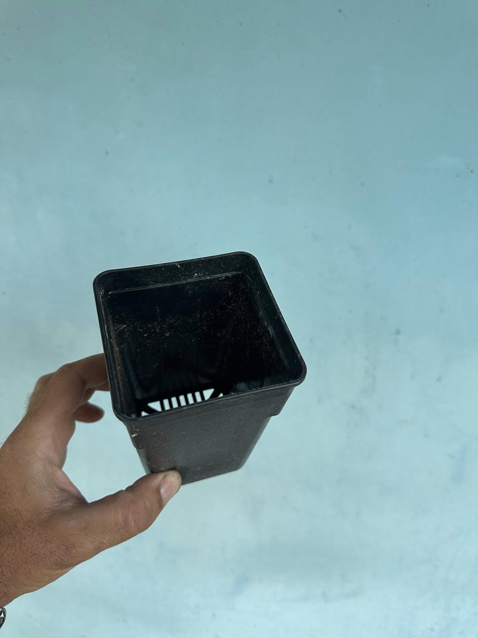 საჩითილე ქოთნები