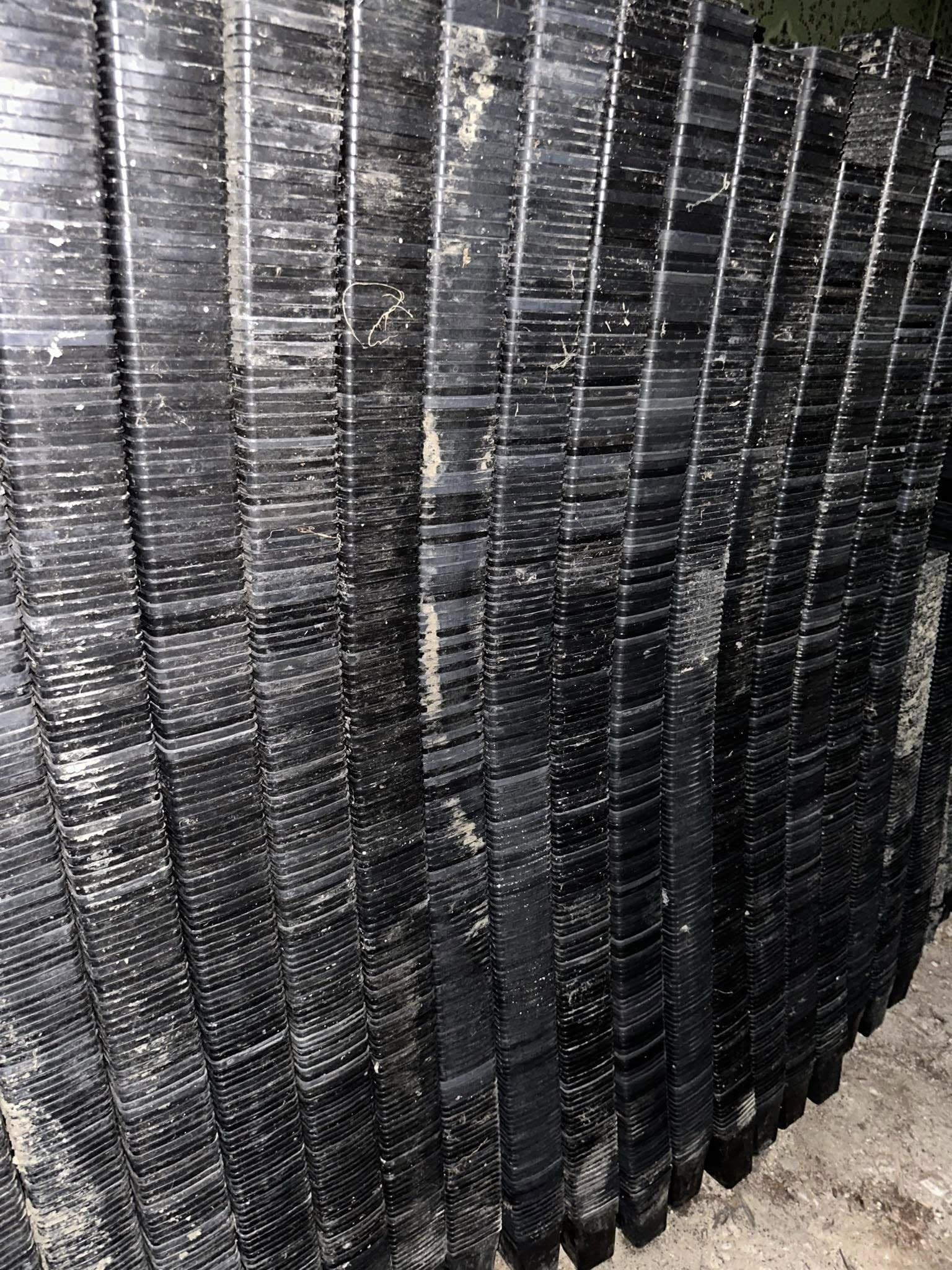 საჩითილე ქოთნები