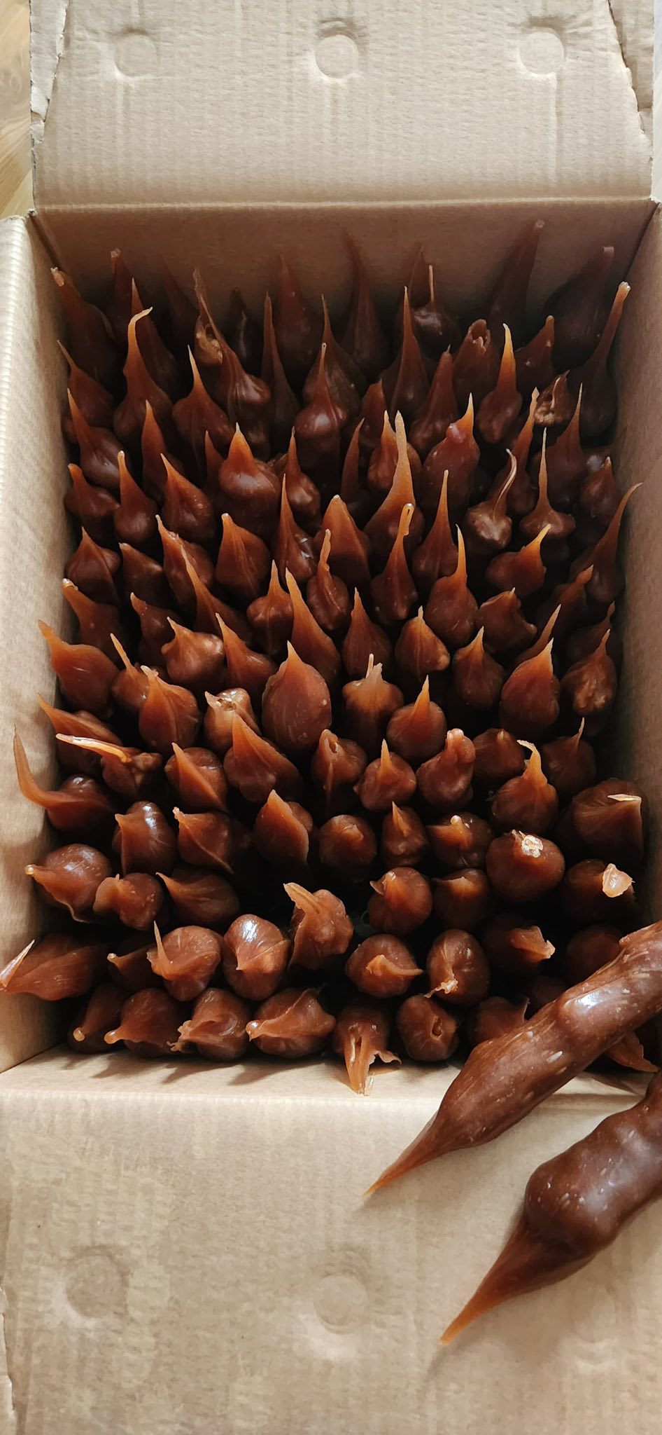 კახური ჩურჩხელა