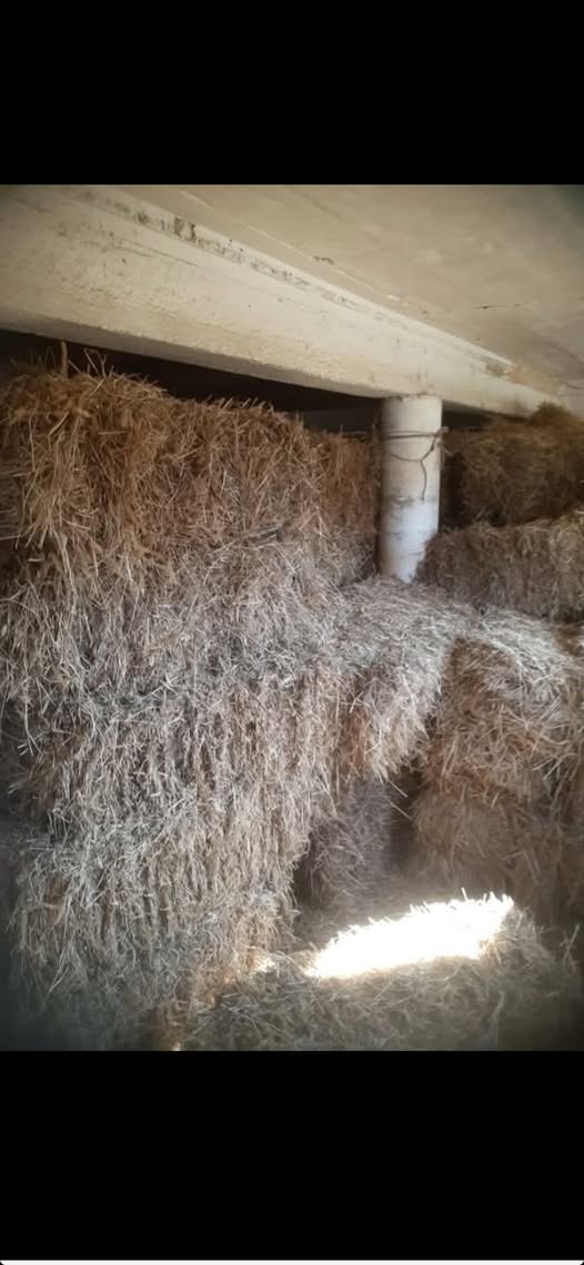 თივის პრესი