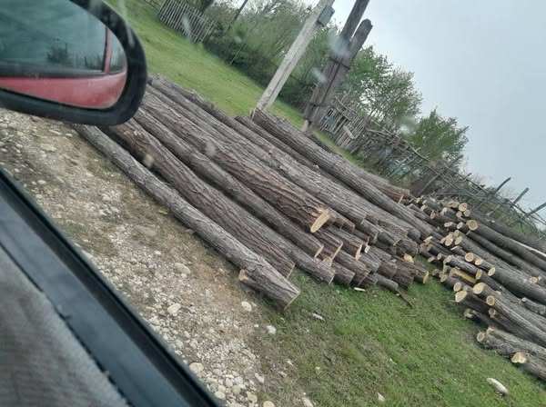 აკაციის სარები