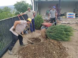 მოხვნა, გასხვლა . . .