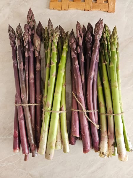 სატაცური