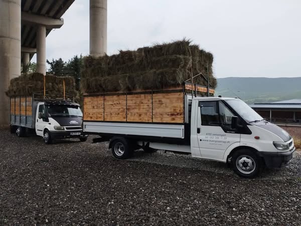 საქონლის გადაყვანა, ტრანსპორტირება