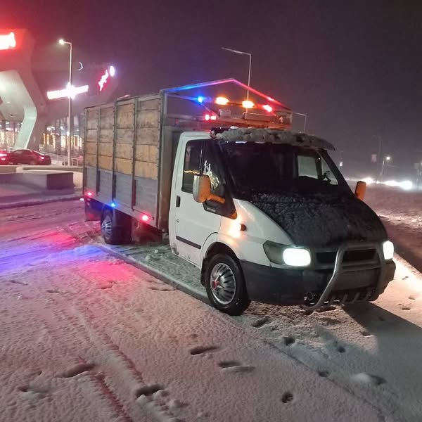 საქონლის გადაყვანა, ტრანსპორტირება