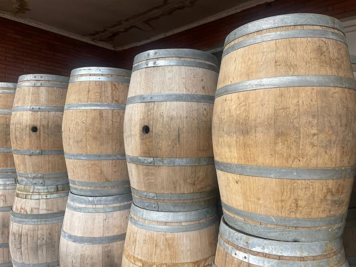 მუხის კასრები