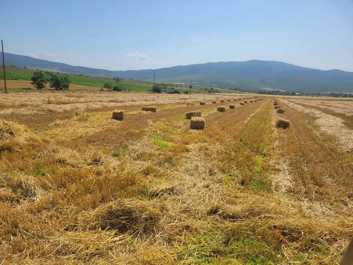 ნამჯის პრესი