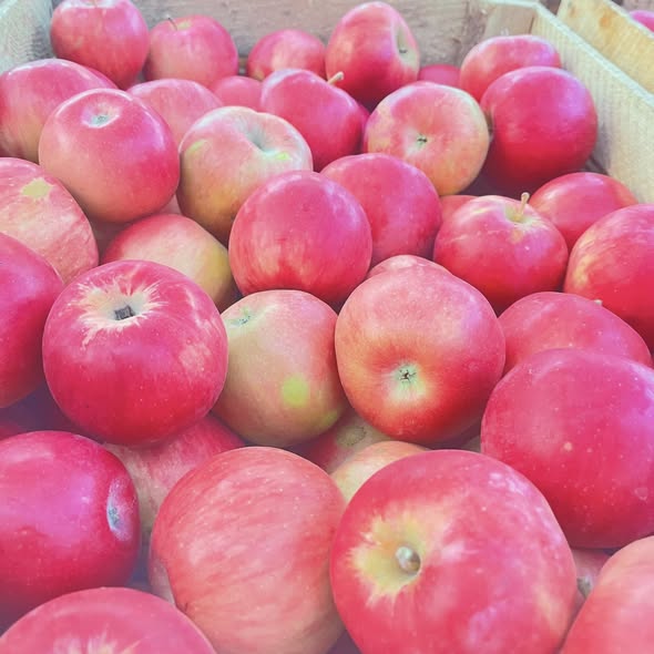 ვაშლი აიდარიდი