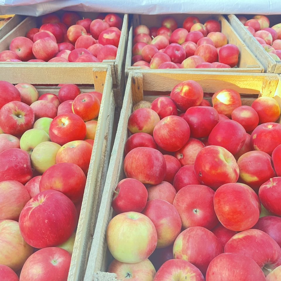 ვაშლი აიდარიდი