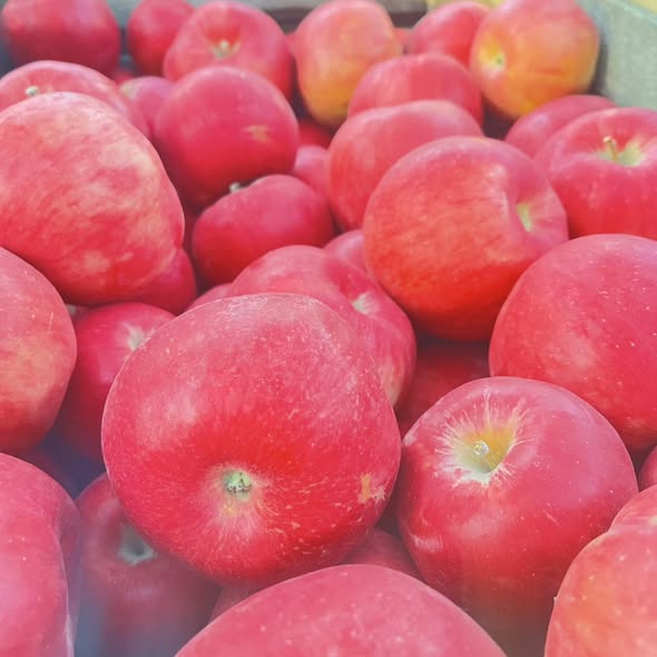 ვაშლი აიდარიდი