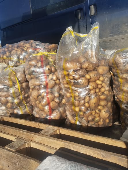 კარტოფილი