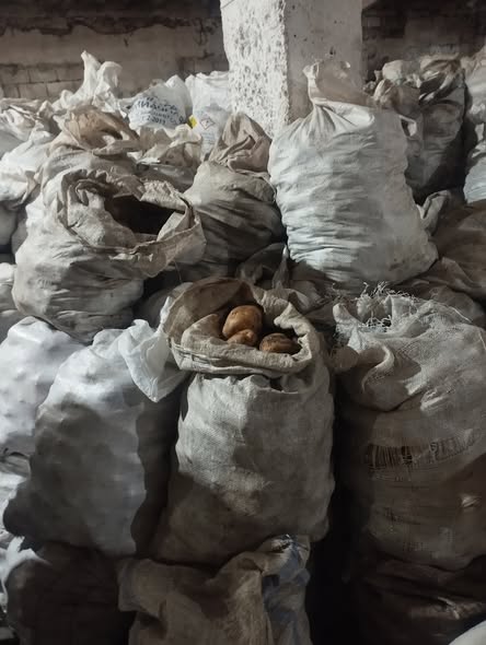 კარტოფილი