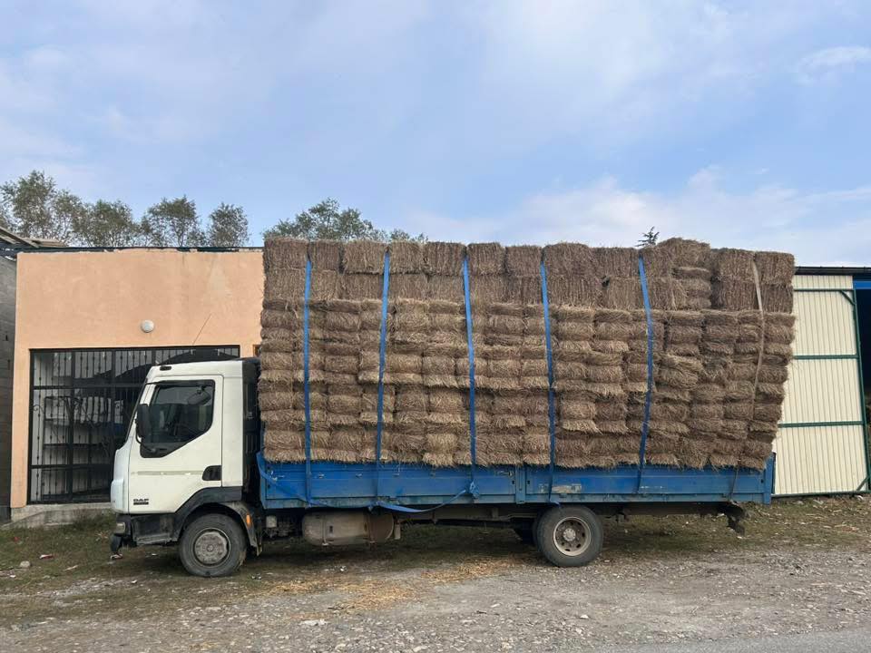 იონჯა, თივა