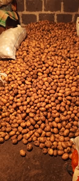 კარტოფილი