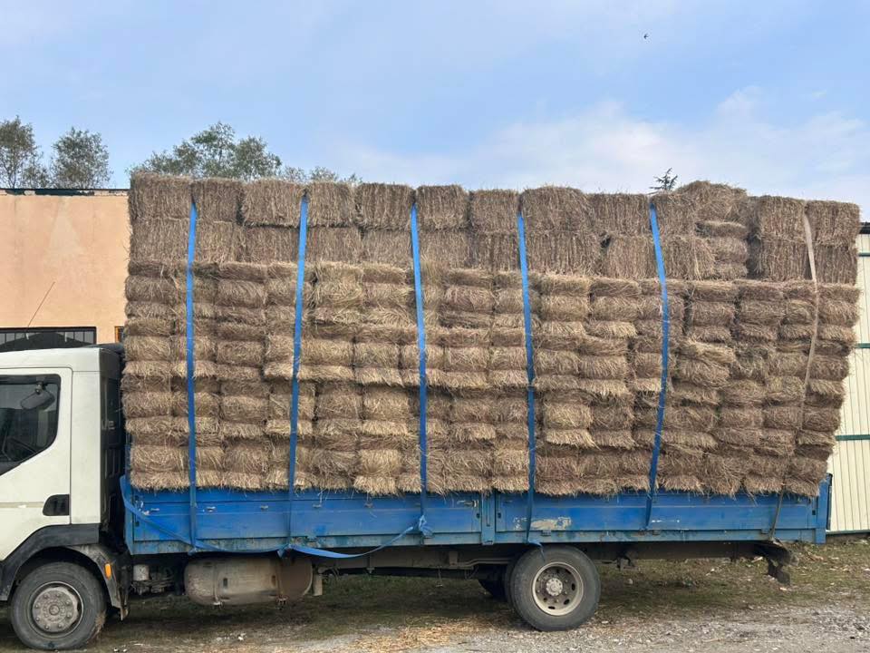 იონჯა, თივა