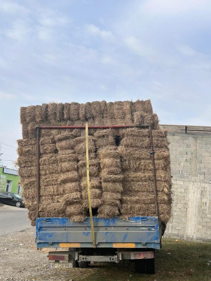 იონჯა, თივა