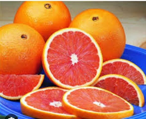 ციტრუსის ნერგები