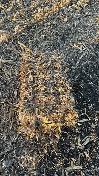 სიმინდის ჩალის პრესი