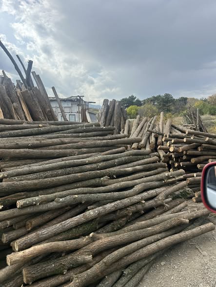 აკაციის ბოძები