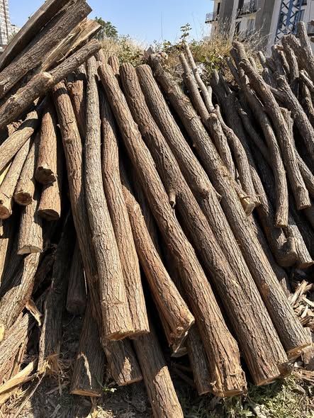 აკაციის ბოძები