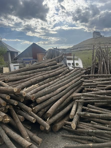 აკაციის ბოძები