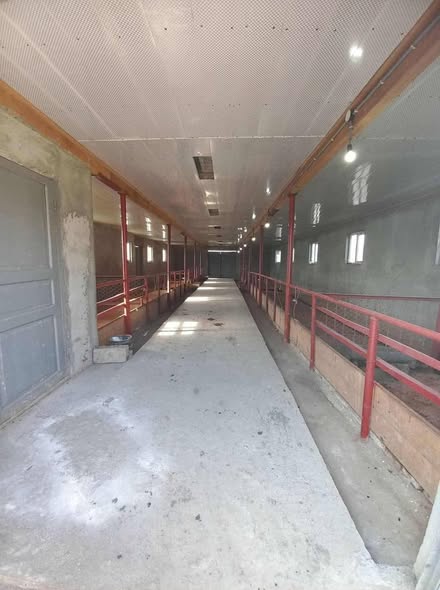 მესაქონლეობის ფერმა