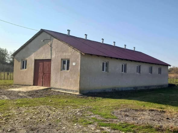 მესაქონლეობის ფერმა