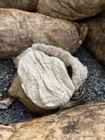 თუშური გუდა