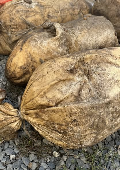 თუშური გუდა