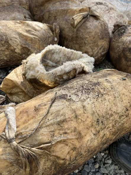 თუშური გუდა