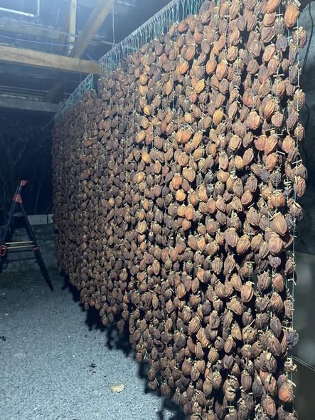 ხურმის ჩირი