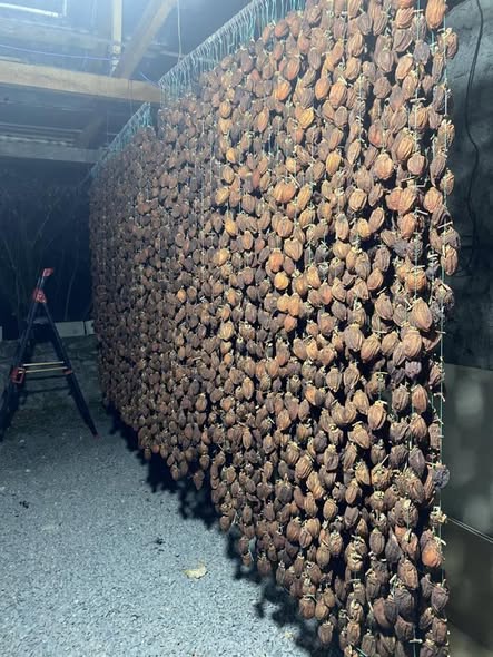 ხურმის ჩირი